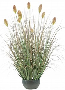 [Hot Item] Faux Plant Home Decoration Artificial Dipsscus Sativus Grass 80/100/120cm