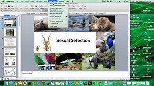Sexual selection