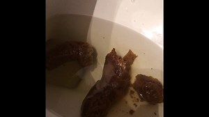 Mushy, Noisy Logs W/Flush