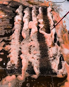 Cleaning a very dirty and muddy carpet #rug #carpet #satisfying #rugcleaning #carpetwashing #carpetcleaning #carpetpython | Awesome Carpet