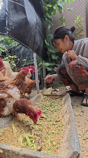 Cách trồng cây chanh Việt Nam ngay cạnh nhà: hướng dẫn dễ hiểu