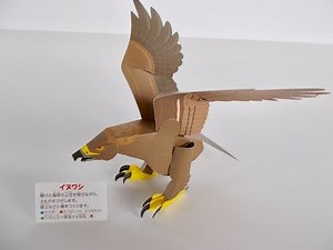 小学館クラフトぶっくシリーズ 「りったい鳥館」 イヌワシ