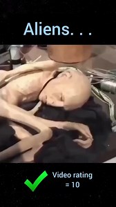 😳 .....#alien #aliens #archeology #arthistory #artist #conspiracy #creepy #drawing #ghost #ghosts #haunted #heritage #history #illustration #italy #love #nature #paranormal #paranormalactivity #paranormalinvestigation #ruins #scary #science #space #spaceship #spacex #spooky #temple #travel #ufo | Paranormal Reels