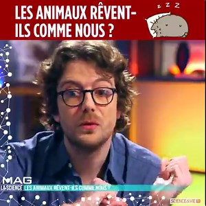 😬 Les proies n'ont pas tellement le choix. de chroniques : https://bit.ly/2O3aRf5 | Science & Vie TV