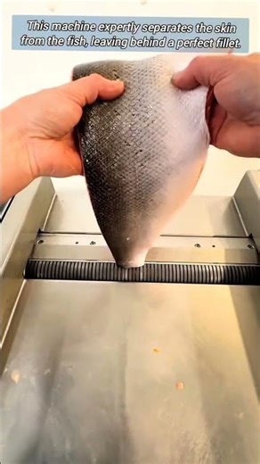 Automated Fish Fillet Processing.