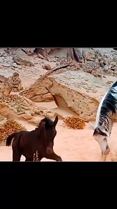 2.4M views · 52K reactions | #shortmovie #clips #movienights #viralreels #followme | Short Movie Clips | Facebook