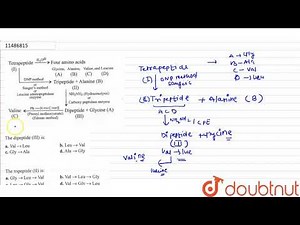 The dipeptide `(III)` is: