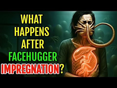 What Happens After a Facehugger Implants an Alien Egg In A Human Body? - Entire Process Explained