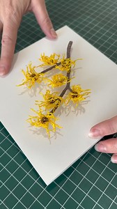 142K views · 3.4K reactions | The story behind one of my recent commissions. #sculpturalembroidery #meredithwoolnough #botanicalembroidery | Meredith Woolnough Artist | Facebook