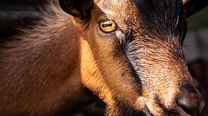 Inspect more traffic and identify threats. With the Cisco Secure...