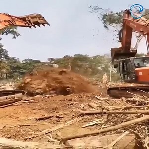 Tree cutting skills | Amazing Video