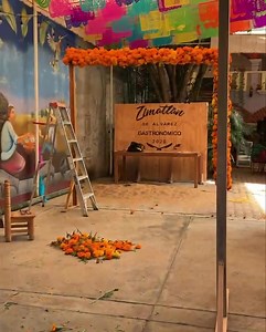 1.1K views · 23 reactions | Ya empezamos con nuestro altar 朗 | Magnolia Flower Lab | Facebook