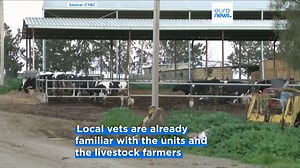 Foot-and-mouth disease: Emergency measures in Cyprus amid livestock farmers' despair