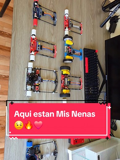 Mis Nenas: Creatividad y Robótica en Acción