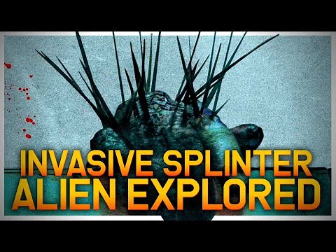 The Splinter Monster Explained | Dangers of invasive species on local fauna | Lore and Physiology