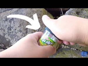 How To Catch Fish With Gulp Alive Minnow