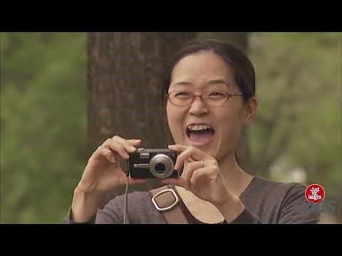 Camera Caché-A mourir de rire 2020 / la vidéo la plus drôle du monde #35