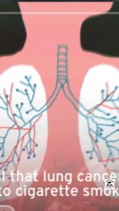 StudY LoveR VeeR - SLV on Reels