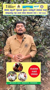 2.8K views · 2K reactions | Follow me #sheepfarm #poultry #poultryofinstagram #poultrybreeder #animallovers #kolisakanike #business #farmer #agriculture | Raitha Madhyama Youtubechannel | Facebook