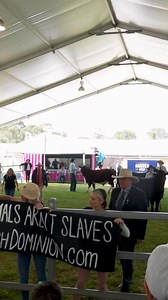 1.8K views · 86 reactions | Vegan Activist V-Gan Booty Keeps Using That Word - I Do Not Think It Means What You Think It Means - The Princess Bride. . . . #princessbride #theprincessbride #keepusingthatword #vganbooty #veganbooty #veganactivist #veganactivism #animals #activist #carnivore #carnivorejt #carnivorediet #theinnercarnivore | Carnivore JT | Facebook