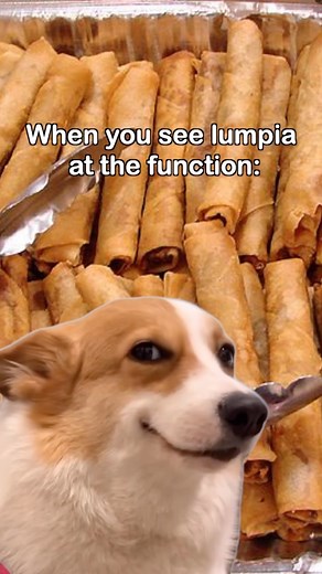 Who else goes crazy for the lumpia? 🔥 #lumpia #filipino #chamorro #food #guam #guamfood #guamfoodies #foodblogger #guameats #guamchow #tasty #delicious #guamfoodblog #supportlocal | GuamFoodblog