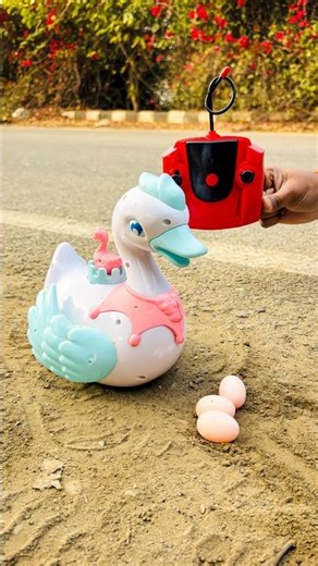 RC Swan Remote Control Toy Egg Laying Walk Test 🦢🔥
