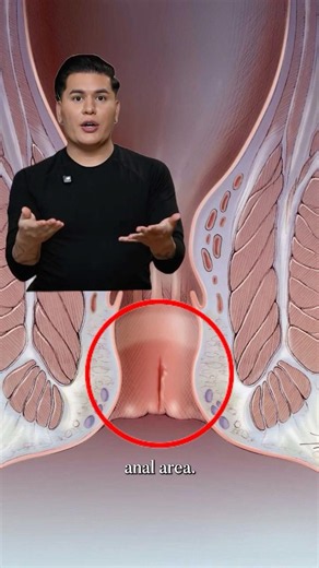 Why Anal Fissures Keep Coming Back (And How HoleTox® May Help Prevent Them)