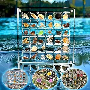 Acrylic Magnetic Seashell Display Box, 36 Grids Clear Mini Seashell Storage Box, Seashell Storage Box Display Case Decorative Seashell Starfish Trinket, Small Craft Organizers Container