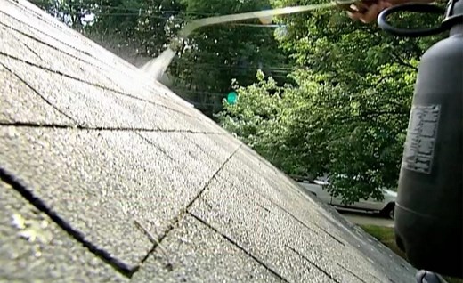 How To Prevent Roof Moss With Zinc Strips: A Comprehensive Guide