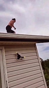 7.8K views · 46 reactions | Jimmy'tje springt de werkweek vol goede moed tegemoet  #moandag #KKC23 #kampingkitsch | Kamping Kitsch Club | Facebook