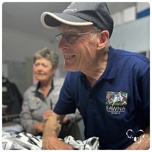 Koala Hospital Port Macquarie on Reels