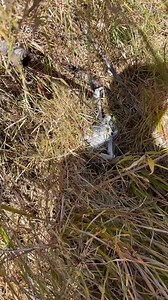 Còn tít tít là còn tìm được #phukienflytech #dji #flytech #flycam #drone #xuhuong ------------------- Sơn Bẩu Vệ phukienflytech.vn | Thanh Sơn