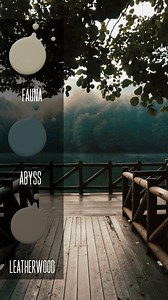 Our top three this month make a beautiful soft neutral color palette. Either one can be ordered in One Hour Ceramic, wall paint with luxurious matte finish. Which one would you chose for your walls, furniture and accent color? | Wise Owl Paint