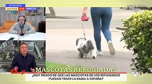 Un ministerio no competente crea un protocolo para que los veterinarios clínicos privados actuemos gratis, sin medios y con grave riesgo de muerte. Nuestra salud sigue en manos de peligrosos incompetentes. | Carlos Rodríguez