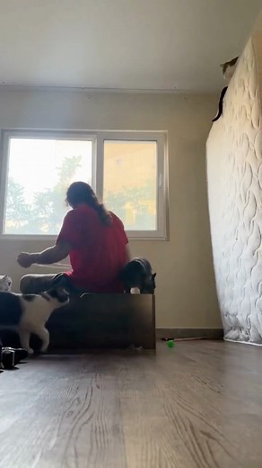 Time to get rid of your old mattress? Recycle it! Avoid illegal dumping and transform mattresses into new products. Find a drop-off location: ow.ly/lkM250K0nO5. Video via @gatinarios / Twitter | CalRecycle