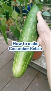 How to Make Cucumber Relish #easyrecipe #cucumber #vegetables #food #cooking #homemade | Ever Alonzo