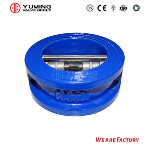 [Hot Item] API 594 Wafer Check Valve Double Flap Swing Type