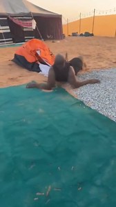 Man pranks his friend with remote controlled snake and gets a big reaction