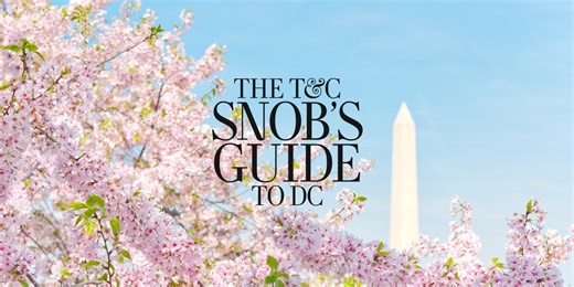 The T&C Snob's Guide to Washington, DC