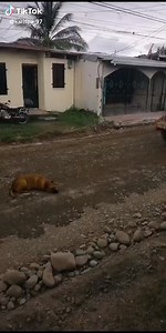 Một câu chuyện buồn :(( | MeFun JSC