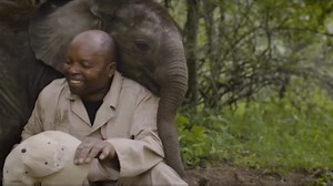 🔥 A young elephant hears his name and decides to interrupt an interview