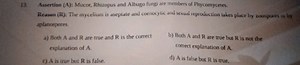 13. Assertion (A): Mucor, Rhizopus and Albugo fungi are members... | Filo