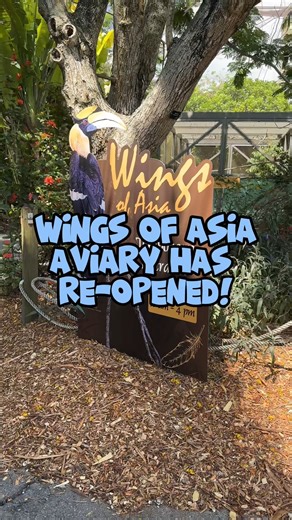 6.9K views · 153 reactions |  This is not a drill - Wings of Asia Aviary has re-opened!  Fly on by and get re-acquainted with more than 400 (around 85 species) exotic, beautiful, free-flying Asian birds you'll ever see. When visiting, be sure to make your way in through our temporary entrance, located in our Asia section just in front of the tapir habitat. 閭 | Zoo Miami | Facebook