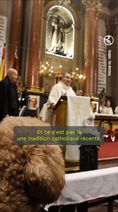 11K views · 114 reactions | ✨ Faire bénir son animal, c'est possible...
