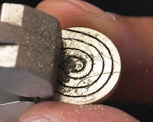 Stylish accessories for your beloved pets! | Green Bean