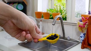 Compilation of delicious blueberry recipes for you. Learn how to make mouthwatering blueberry pancakes, a scrumptious blueberry pie, and a wholesome oatmeal dish with a burst of blueberries. Join us as Genie provides a detailed description of each recipe, guiding you through the step-by-step process for a truly delightful culinary experience | Miniature Cusina