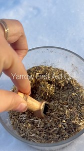 113K views · 1.6K reactions | Yarrow First Aid Oil A simple,...