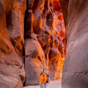 445 reactions · 26 shares | La ville de Kanab en Utah, connue sous le nom de « cœur des parcs », est parfaitement située pour accéder à certains des plus beaux parcs nationaux et terres publiques de l’Ouest. C'est l'endroit idéal pour commencer votre aventure. | Visit USA Parks | Facebook