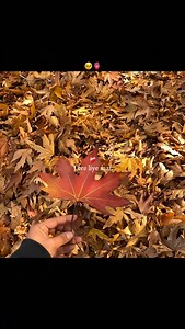 35K views · 29K reactions | Chale aana.凉❤️‍啕 . . . . . . . . . . . . Keywords ( nature, nature photography, cinematography, aesthetic, videography, songs, sad songs, music, bollywood songs, armaan malik, aamal malik, nature videos, nature visuals, clips, autumn, kashmir, chale aana, de de pyaar de, farhana singing, farhana, lyrics, love, edit, song edit, song lyrics, song status, trending, viral reels ) #trendingsongs #explorepage #viralreels | Nazim Films | Facebook