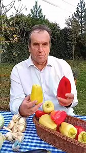 3.2K views · 456 reactions | ❗Hrana kao lijek❗ Paprika (Capsicum annuum) | Za svaku bolest trava raste Mrphsci Sejfudin Tokić | Facebook